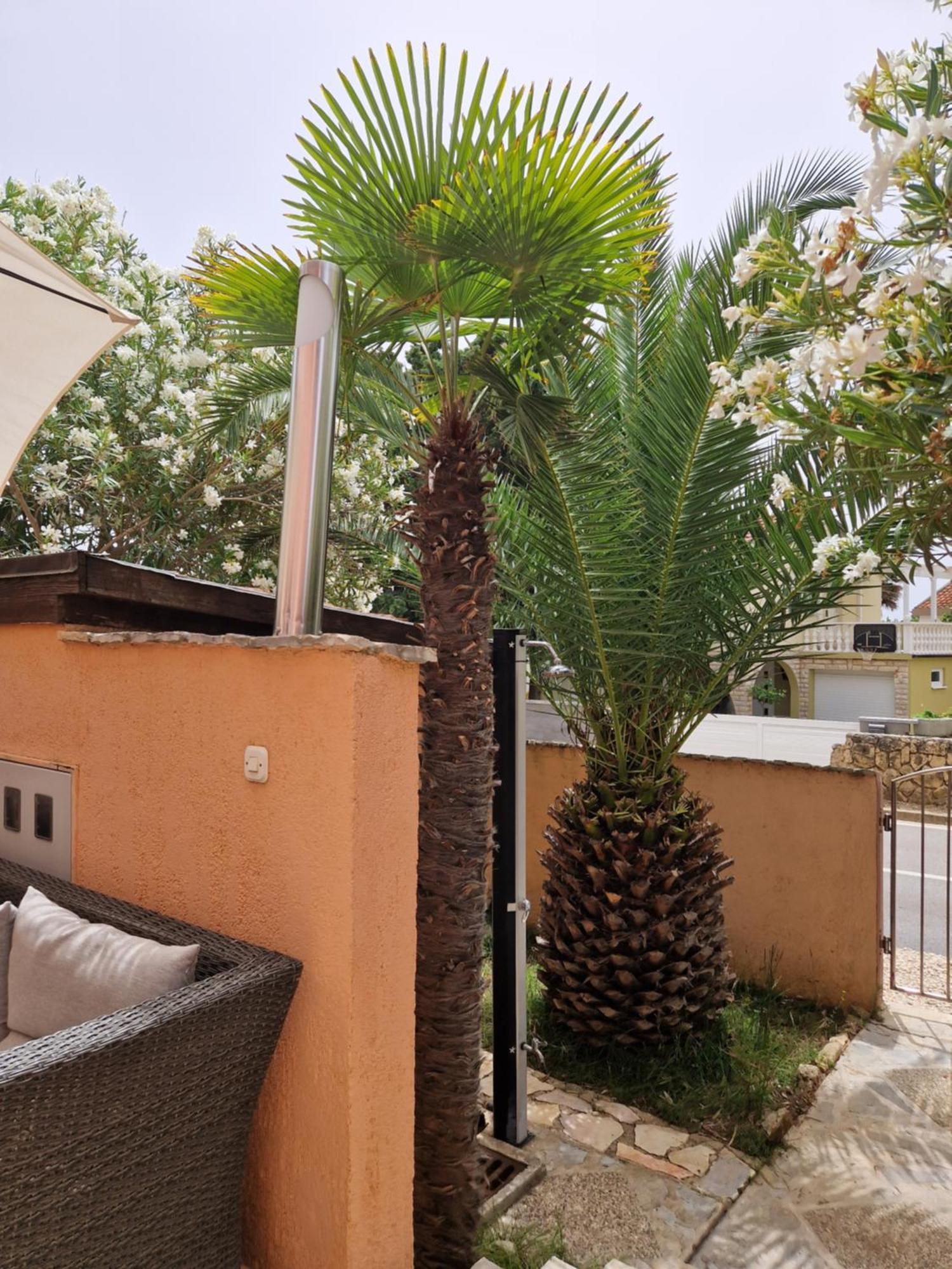 Aurelia Apartments, Vir Pokój zdjęcie